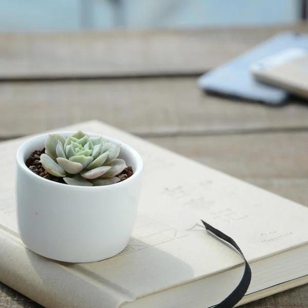 凤凰彩票捕鱼游戏